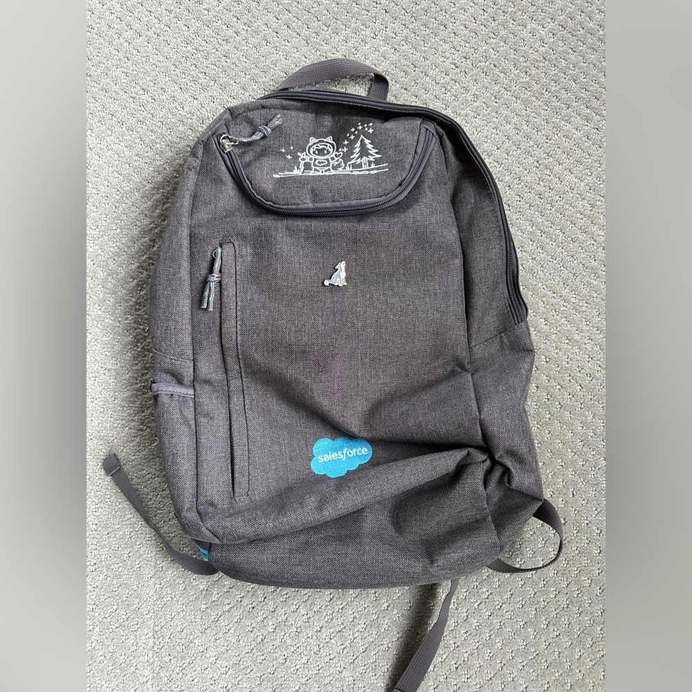 Salesforce Dreamforce Backpack